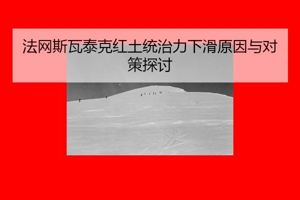 fa-wang-si-wa-tai-ke-hong-tu-tong-zhi-li-xia-hua-yuan-yin-yu-dui-ce-tan-tao-2-119.jpg
