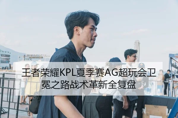 王者荣耀KPL夏季赛AG超玩会卫冕之路战术革新全复盘