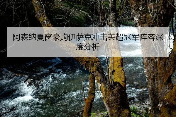 阿森纳夏窗豪购伊萨克冲击英超冠军阵容深度分析